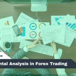 Fundamental Analysis in Forex Trading